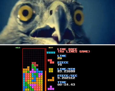 20秒消掉40層俄羅斯方塊的世界紀錄強者　快到看不見（盯）