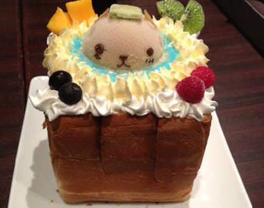 《水豚君蜜糖吐司》絕對不能捨不得吃它不然就......