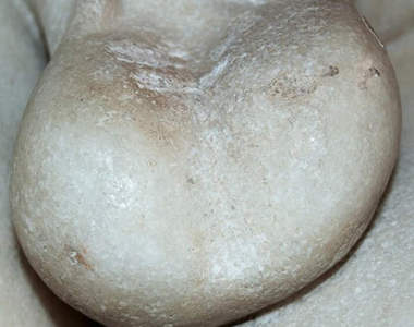 大理石像下部位的秘密～>////<（害羞）