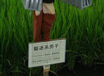 《驅逐系男子》這稻草人是想驅逐甚麼啦www 《驅逐系男子》這稻草人是想驅逐甚麼啦www