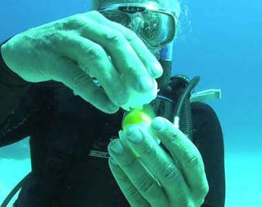 在水裡打破雞蛋　居然可以這樣玩弄蛋蛋