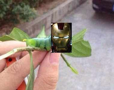 激似《鋼鐵毛毛蟲》是鋼鐵人的祕密武器嗎？