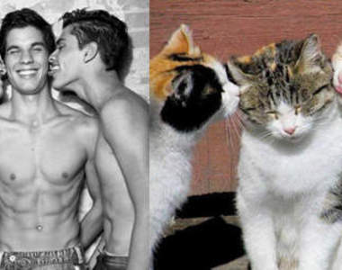 《猛男VS.喵喵》選猛男然後一起養吧(傻笑(///▽///))