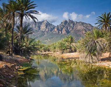 印度洋上的天堂《索科特拉島》夢幻般美麗所在