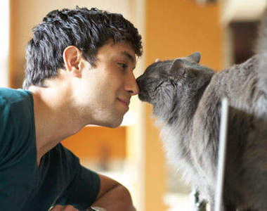 愛貓男子給女生的九種印象　愛貓男快站出來～≡ω≡