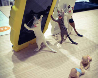 《貓的手機撐》新系列　你快逃這裡就交給我吧（擋）