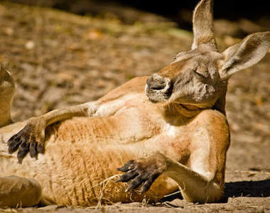 2013《國家地理旅行者攝影大賽》開跑　精采攝影作品先睹為快囉～