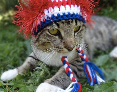 超口愛《寵物針織帽》今天要走的風格是......?