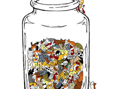 《貓的飲料》看起來好像好吃的ＱＱ糖