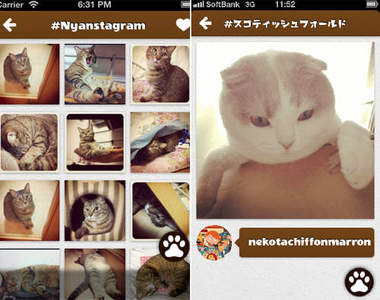 貓的Instagram《Nyanstagram》按照貓種分類的超方便app