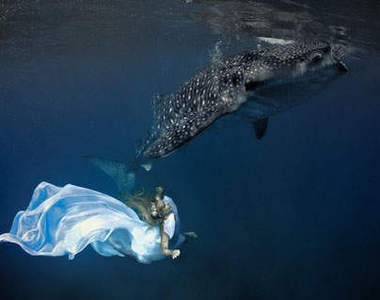 《與鯊共舞》 雖然我很醜但我真的很溫柔