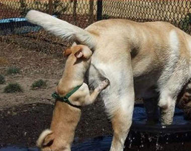 《女人香味》讓男人受不了的味道是？