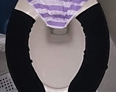 《工口馬桶座》人類已經無法阻止日本人....