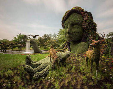 《植物雕塑藝術》好細緻的立體植物