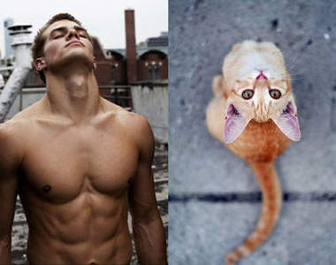 《猛男VS.喵喵》兩隻我都要>///<（抱）