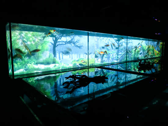 日本涼夏 金魚藝術展 5000隻金魚漫舞的異想空間