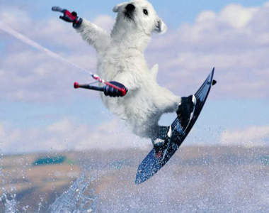 比人還厲害的《衝浪犬APP》