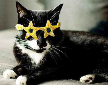 《貓星人商品》看我的電波發射中~~