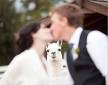 《WTF結婚照》這樣也是一生一世的紀念啦