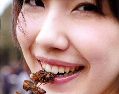 《昆蟲料理寫真集》哼!不要以為用正妹就可以騙到我吃蟲蟲