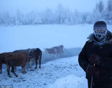 世界上最冷的地方《奧伊米亞康》居民都吃鹿和馬?!
