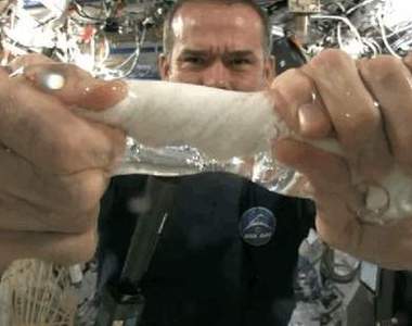 2013讓人驚奇的各式怪怪寫真照&動圖  這真的是科學無誤...