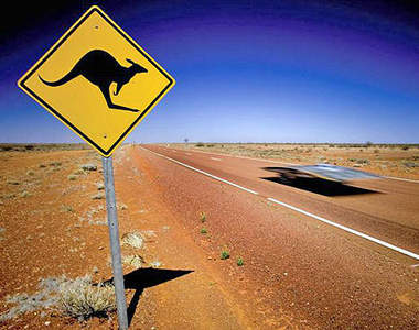 2013年《澳洲最暢銷車車TOP 10》聽說有車車篡位了