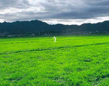 都市傳說：扭來扭去　千萬不要拿望遠鏡去看的怪談