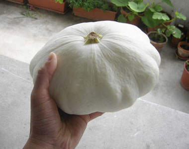 黑化vs白化蔬菜水果　你有看過嗎？