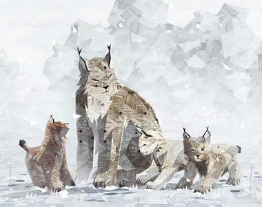 《Shelter 2》冰天雪地裡的山貓家族溫馨遊戲