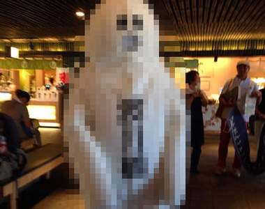 脫力系吉祥物《月橋渡》實體化後的模樣才是真正衝擊www