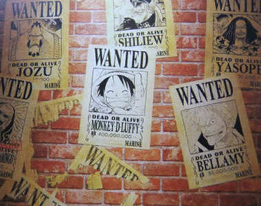 航海王懸賞獎金排行　2014年日本網友整理版送上