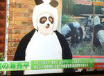 超可愛《熊貓裝》只差一點就像圓仔了? 超可愛《熊貓裝》只差一點就像圓仔了?