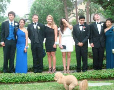 15張《珍貴照片裡的狗大便》誰叫你們不找我www