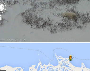 Google街景之北極熊探險日  滑鼠鍵盤準備好