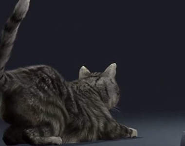 《模擬貓咪》扮貓睡覺、玩耍、扭屁屁的遊戲真能順利通過嗎?