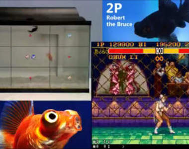 《兩隻金魚PK快打旋風》明明超悠哉的但怎麼有點熱血ww