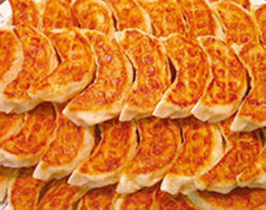 日本一年一度《宇都宮餃子祭》一盤100円