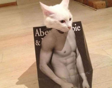 《性感肌肉貓》喵的我哪時候說過我喜歡大肌肉惹（眼神死）