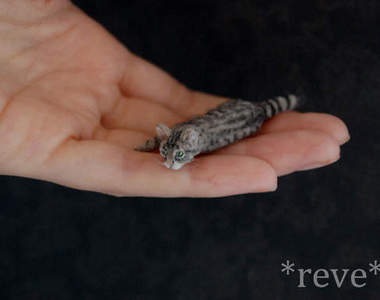 萌到不行《迷你軟陶雕塑》栩栩如生啊