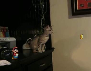 《超壞瑪利歐》原來這些出糗影片都是你幹的好事(指)