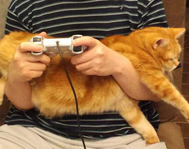 《老公的爆笑日常》無論幾歲還是永遠像個小孩啊～