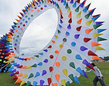 《2014新加坡風箏節》笑翻眾人的那位不能單純放放風箏就好嗎？