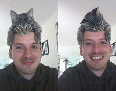 超新潮活體《貓帽子》一定要這麼可愛嗎www