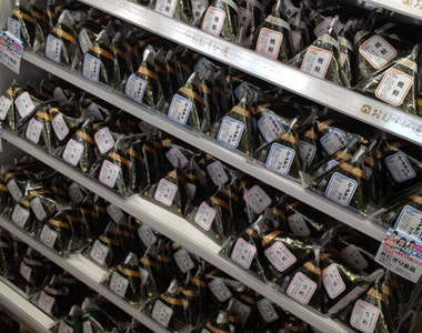 日本10種人氣《便利商店飯糰》大家最愛的口味果然還是......