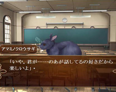 《愛上危險的他》攻略對象是瀕臨絕種動物確實蠻危險的www