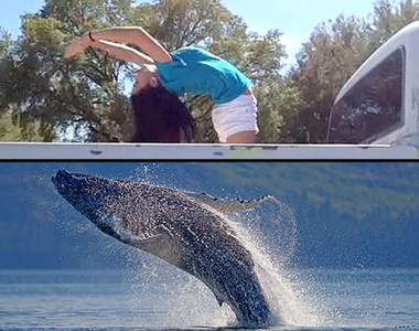 拍照新潮流《鯨魚跳》拍之前請先暖身XDD