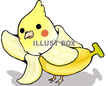 《香蕉鸚鵡》這究竟是什麼樣的組合啊XD