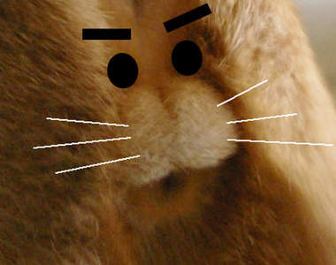 《貓咪身上的鈴鐺蛋糕》羊毛氈版本也來啦