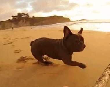 《身歷其境的動圖大合集》用看的也能感同身受